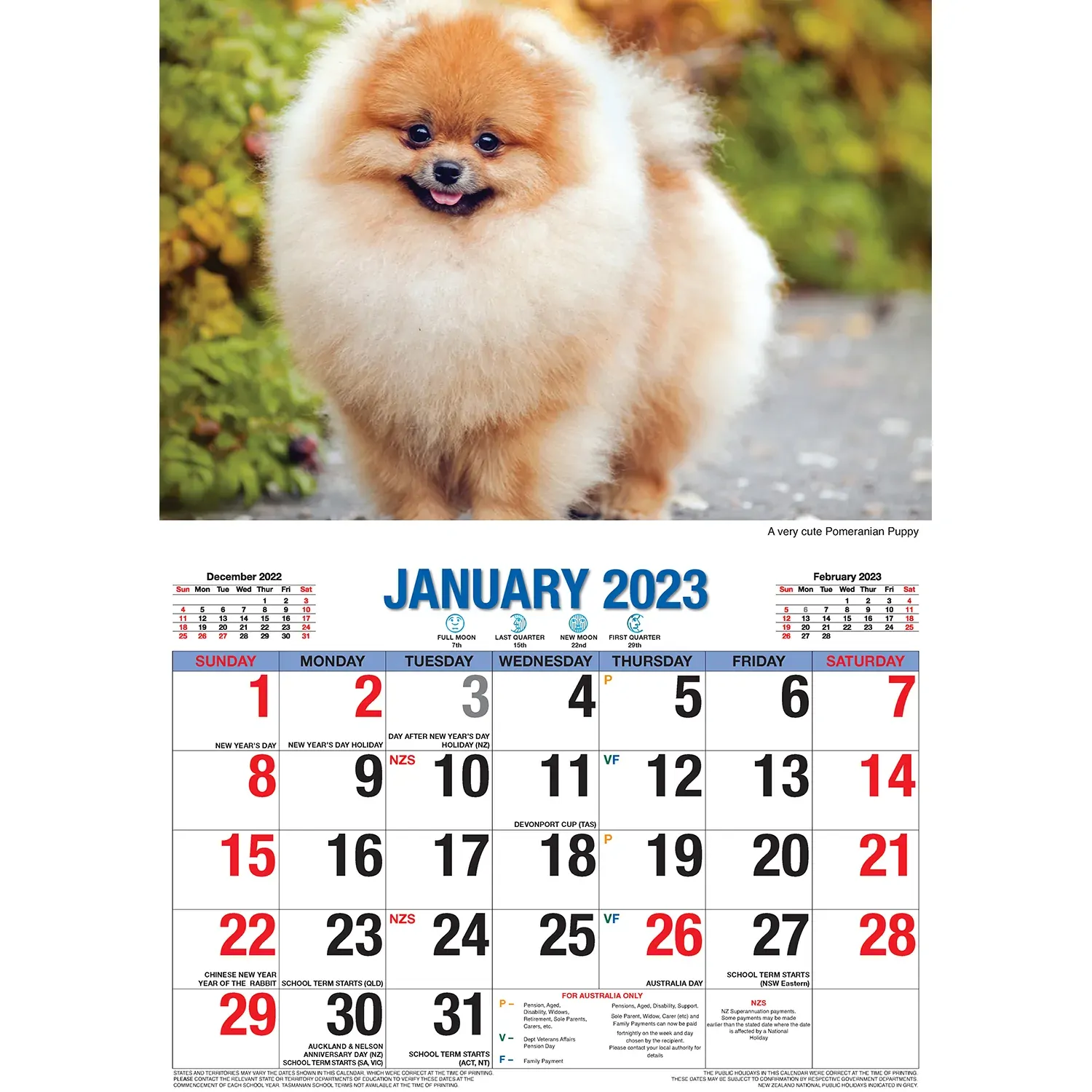 Adorable Dogs – 2023 Rectangle Wall Calendar 16 Months Planner New Year Gift Price