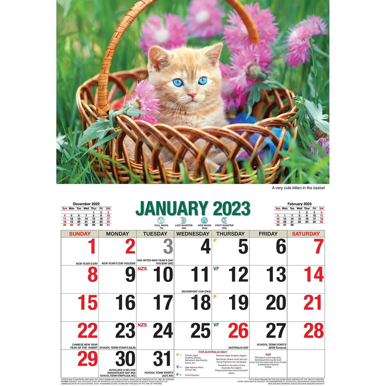 Cute Cats 2023 Rectangle Wall Calendar 16 Months Planner New Year Christmas Gift Price