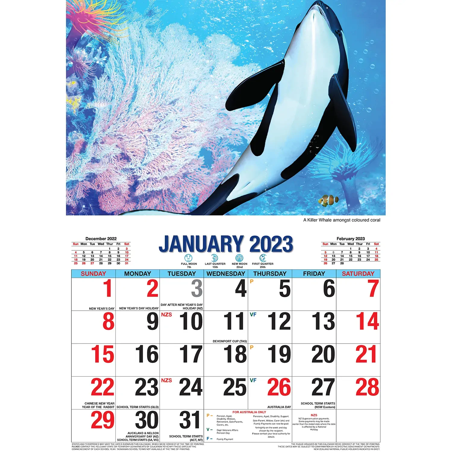 Ocean Wild – 2023 Rectangle Wall Calendar 16 Months Planner New Year Gift Price