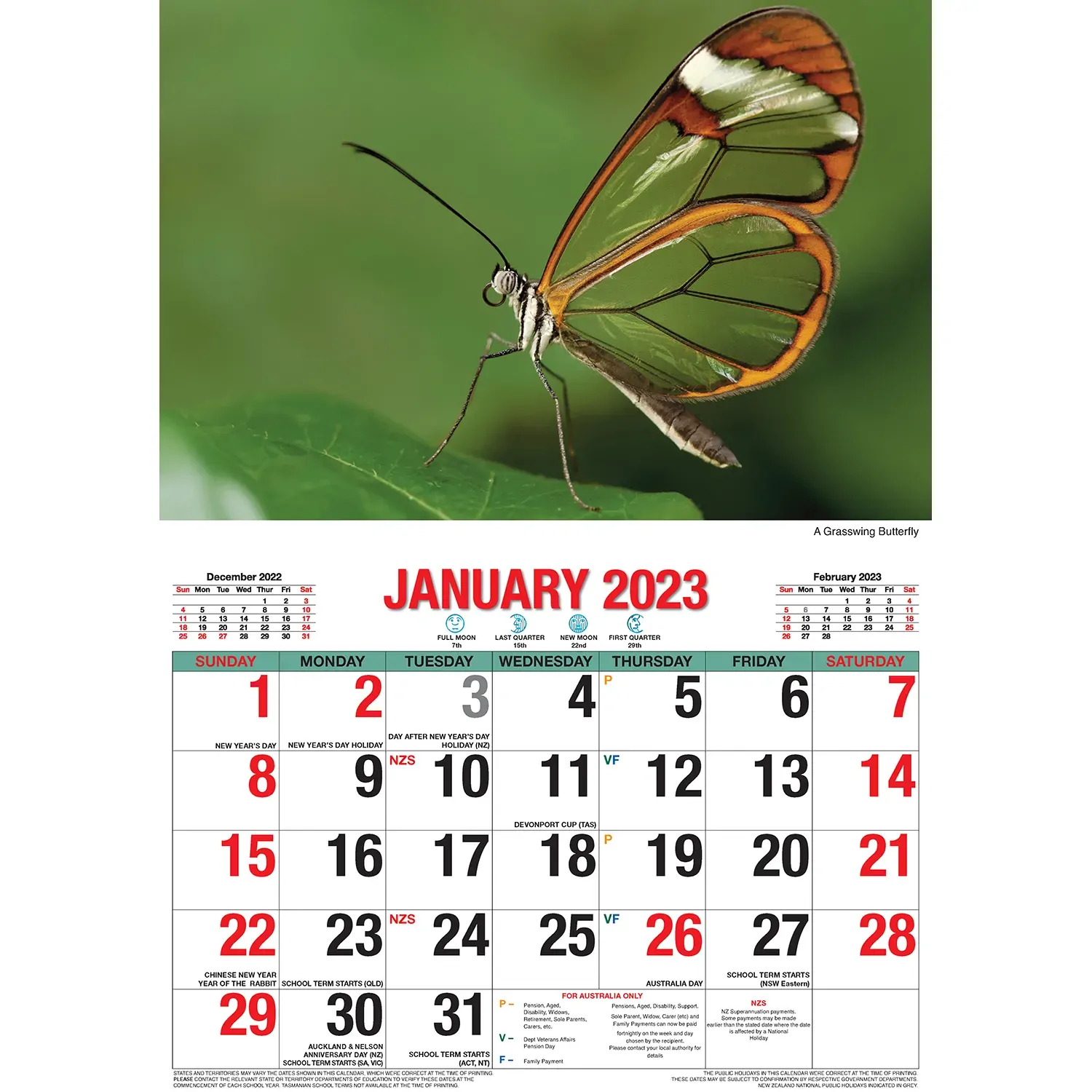 Butterflies – 2023 Rectangle Wall Calendar 16 Months Planner New Year Gift Price