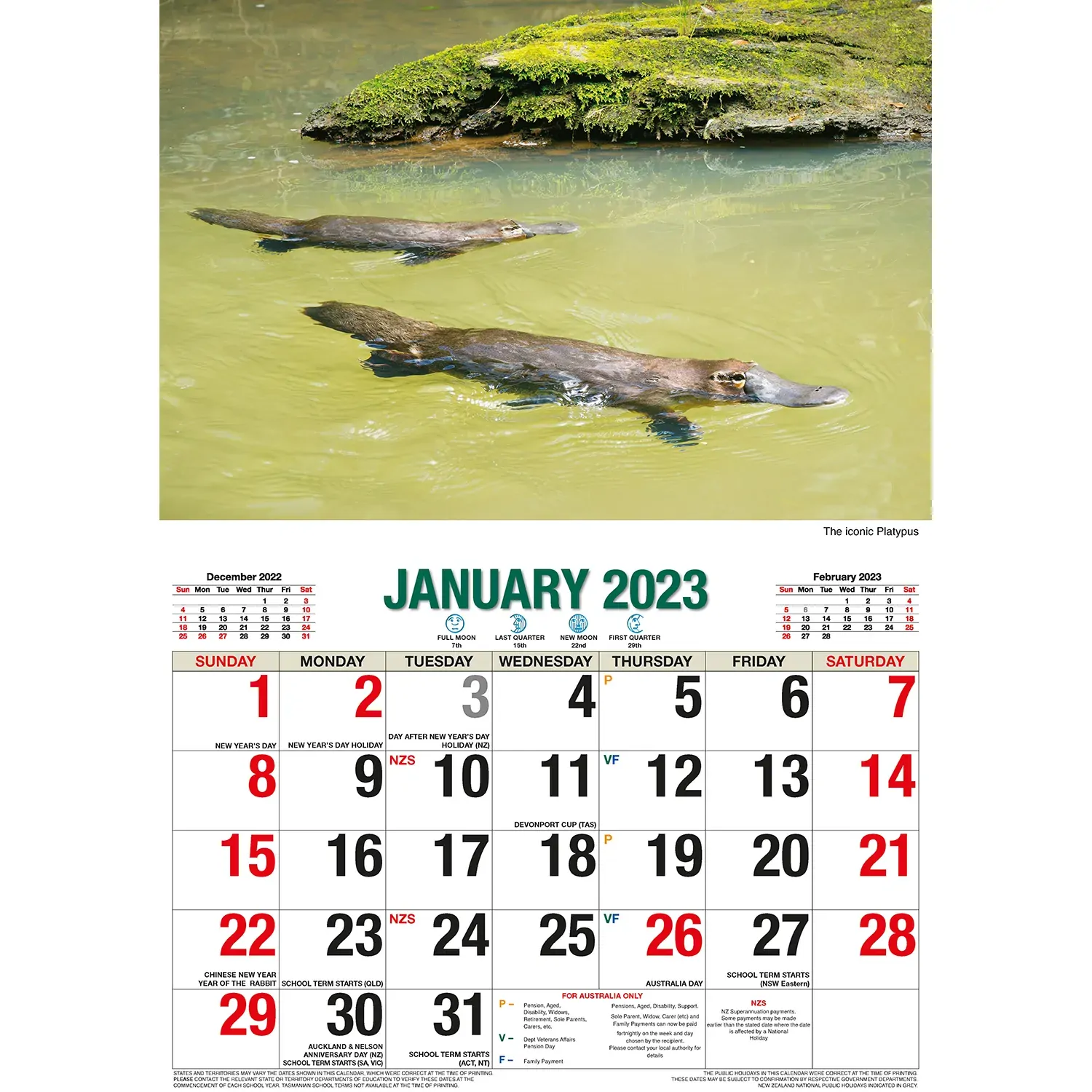 2023 Australian Wildlife Rectangle Wall Calendar 16 Months Planner New Year Gift Price