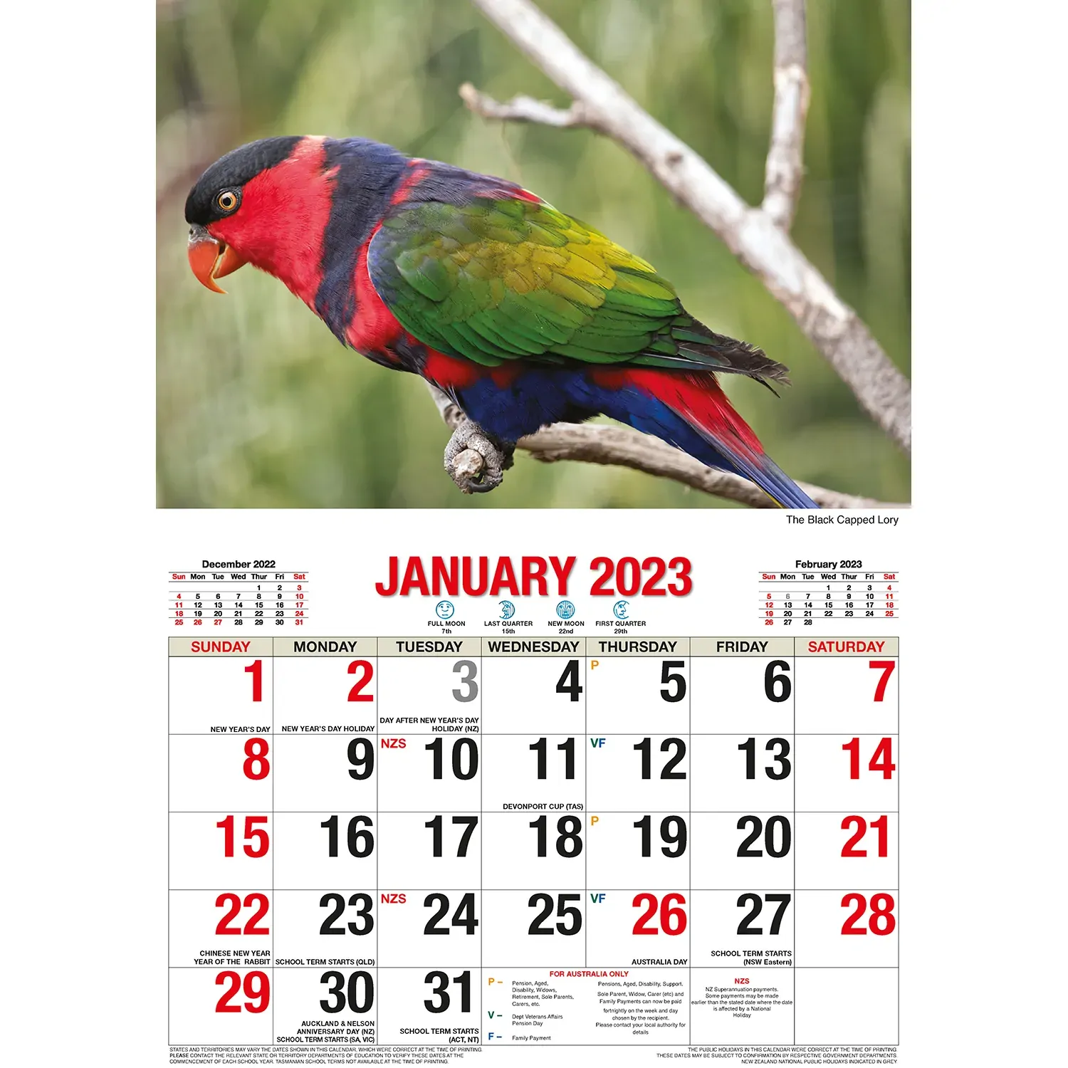 Australian Birds – 2023 Rectangle Wall Calendar 16 Months Planner New Year Gift Price