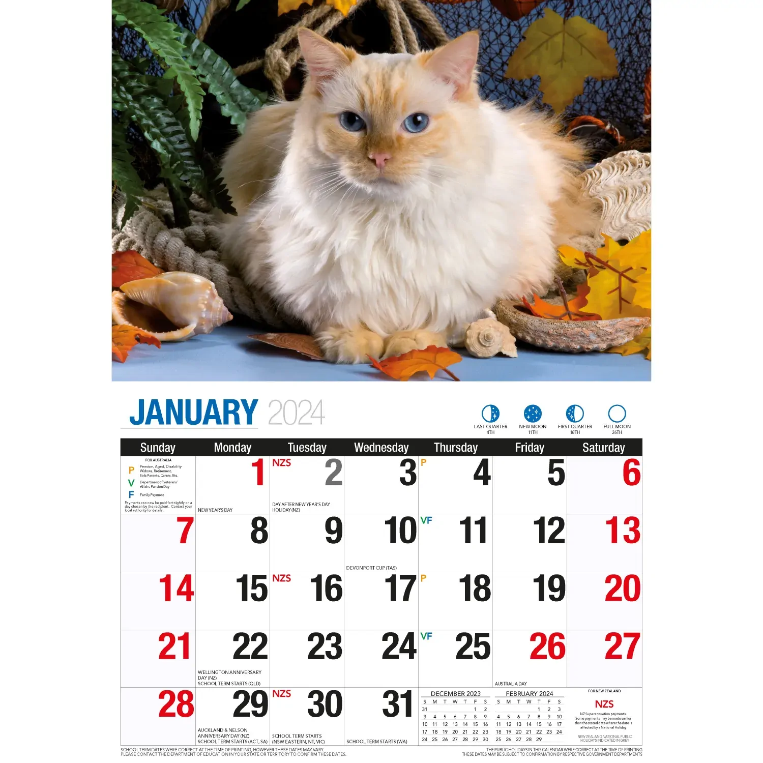 Cute Cats - 2024 Rectangle Wall Calendar 16 Months Planner Animal Pets Photos Price