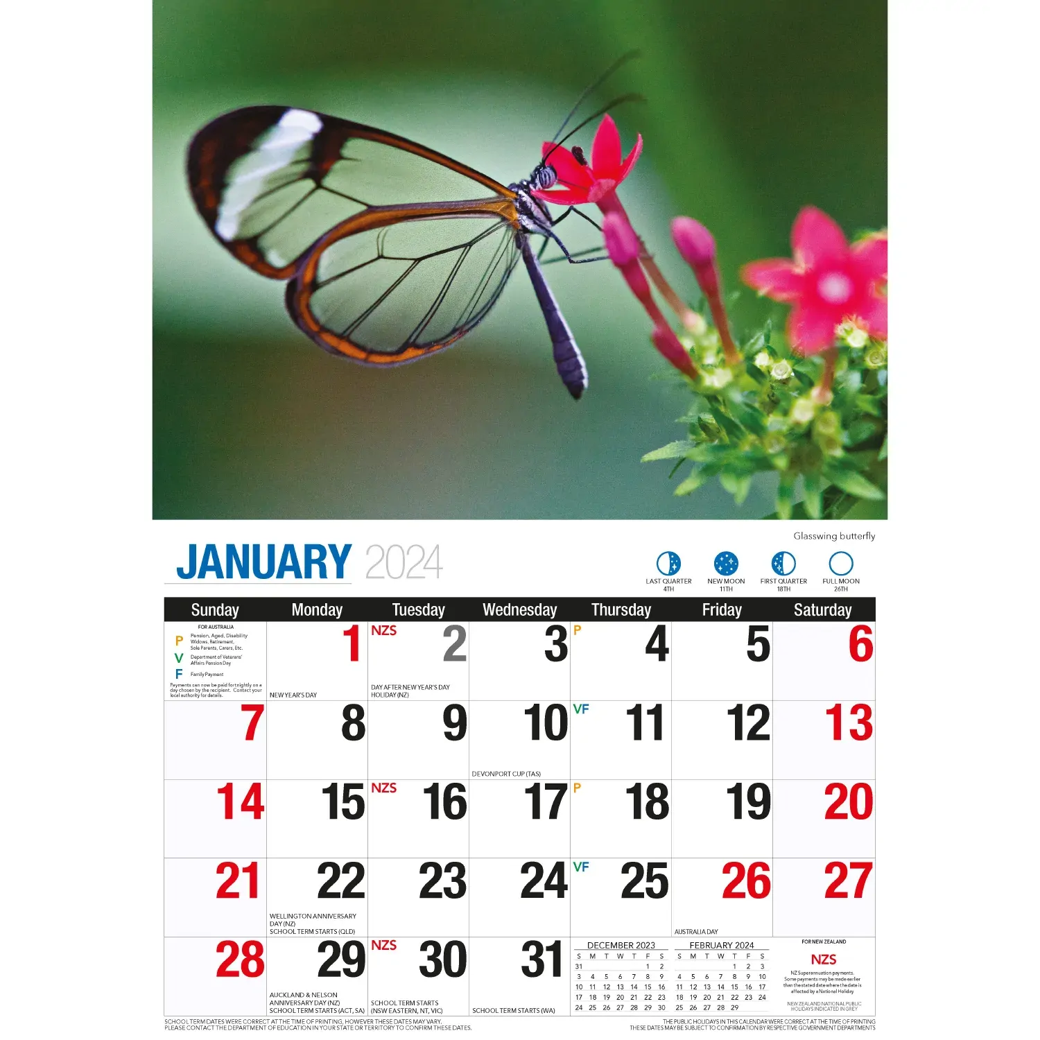 Butterflies - 2024 Rectangle Wall Calendar 16 Months Colorful Butterfly Photos Price