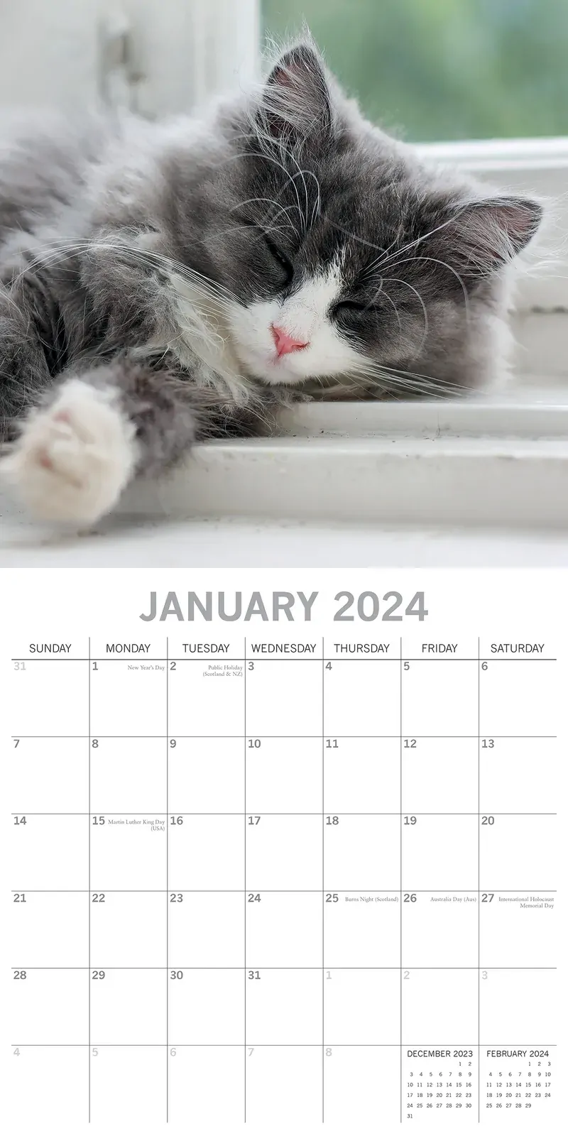 Cat Naps - 2024 Square Wall Calendar Pets Animals 16 Months Premium Planner Gift Price