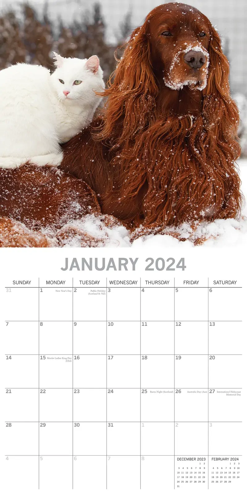 Cats & Dogs - 2024 Square Wall Calendar Pets Animals 16 Months Premium Planner Price