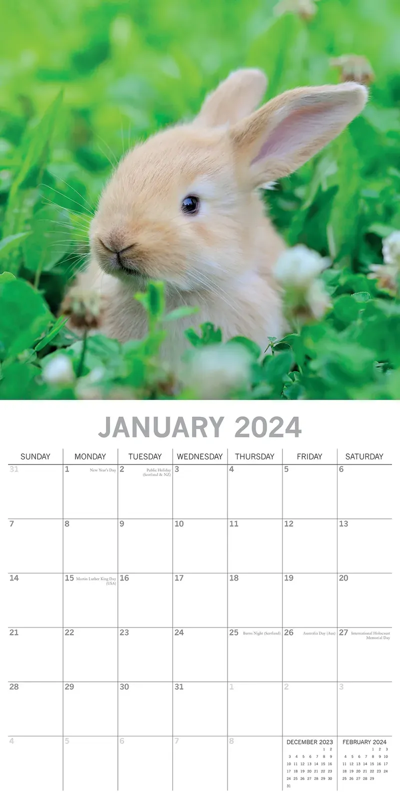 Cute Bunnies - 2024 Square Wall Calendar Pets Animals 16 Months Premium Planner Price