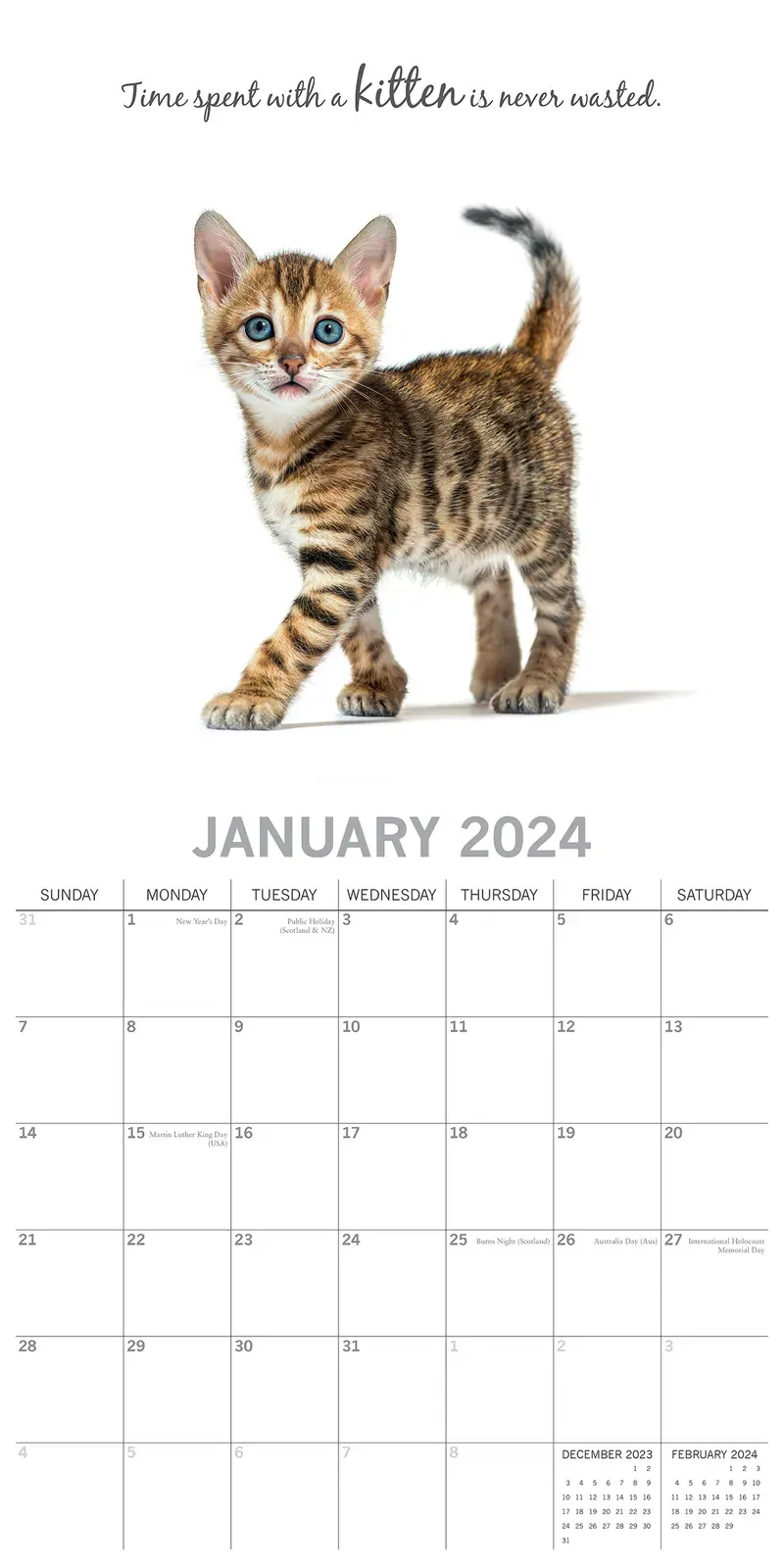 Cute Kittens - 2024 Square Wall Calendar Pets Animals 16 Months Premium Planner Price