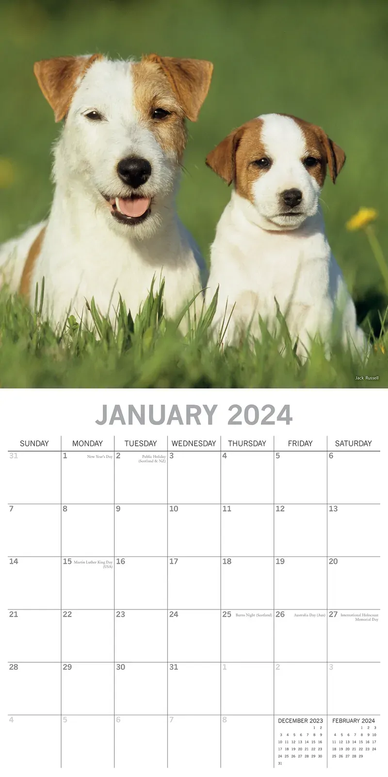 Dogs & Puppies - 2024 Square Wall Calendar Pets Animals 16 Month Premium Planner Price