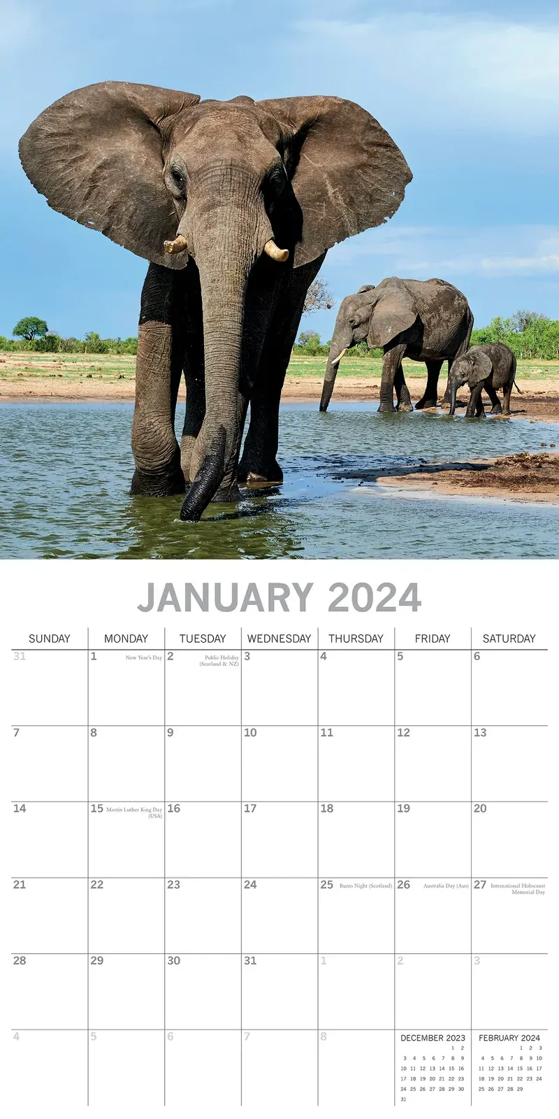 Elephants 2024 Square Wall Calendar Pets Animals 16 Months New Year Planner Gift Price