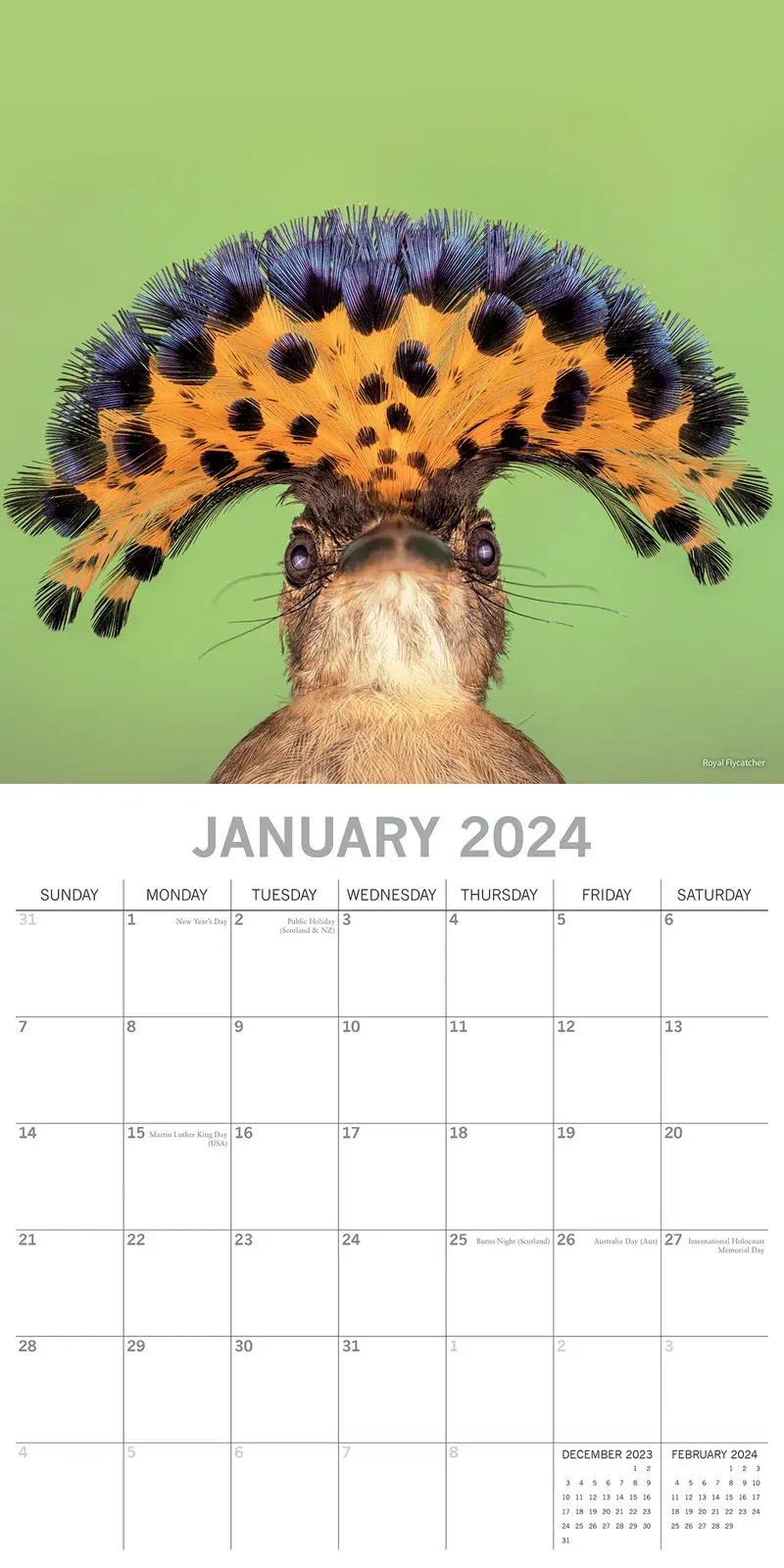 Exotic Birds - 2024 Square Wall Calendar Pets Animals 16 Months Premium Planner Price