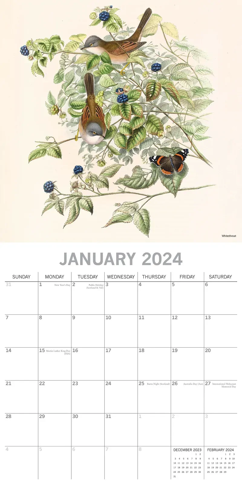 Illustrated Garden Birds - 2024 Square Wall Calendar Pets Animals 16 Months Price