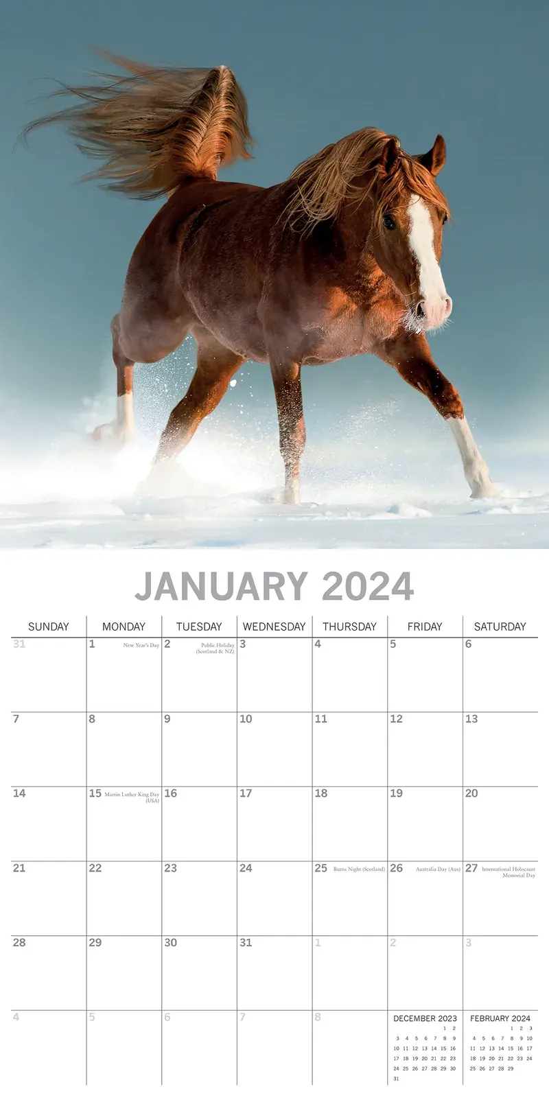 Horses - 2024 Square Wall Calendar Pets Animals 16 Months New Year Planner Gift Price