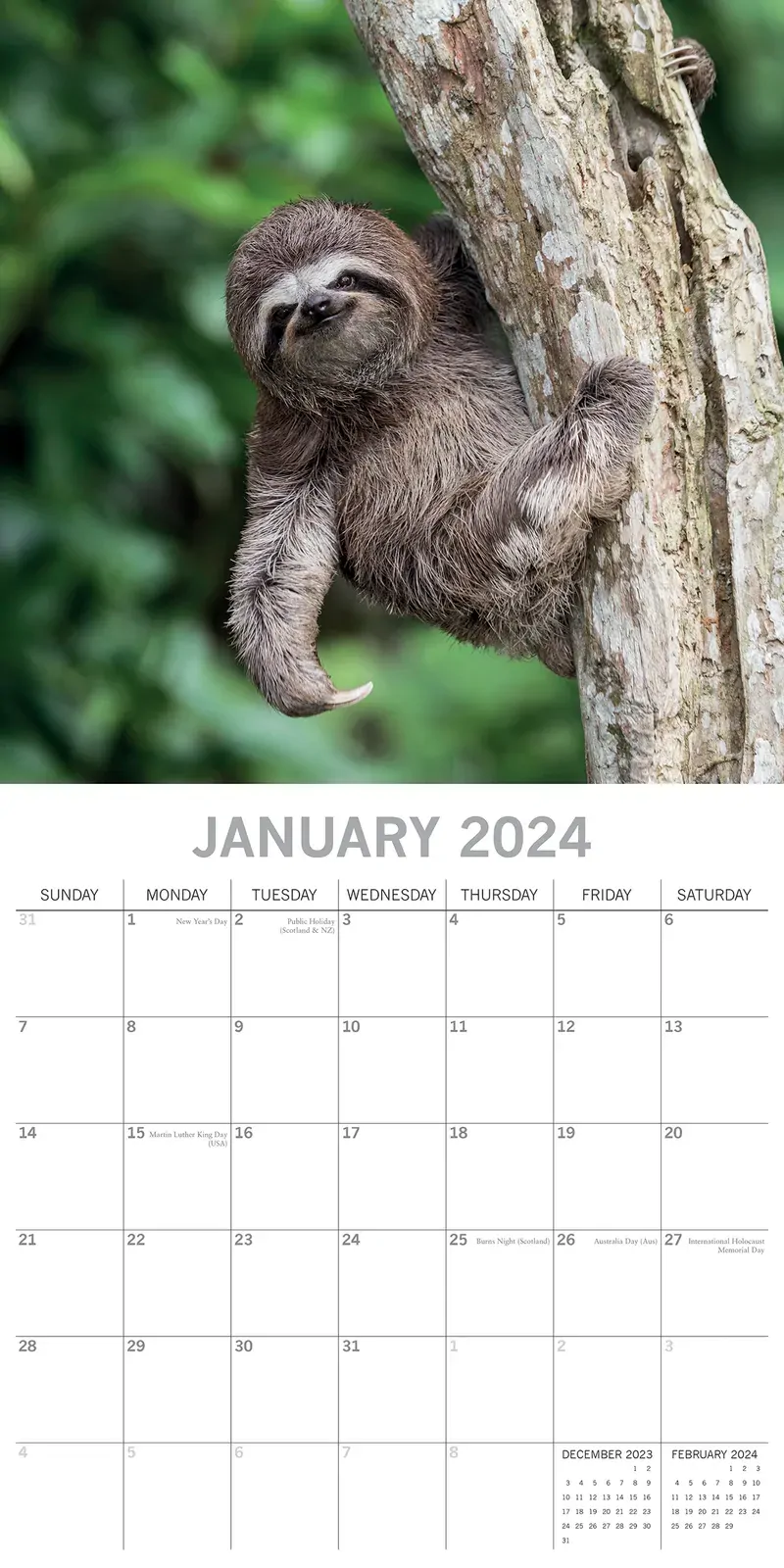 Sloths - 2024 Square Wall Calendar Pets Animals 16 Months New Year Gift Planner Price
