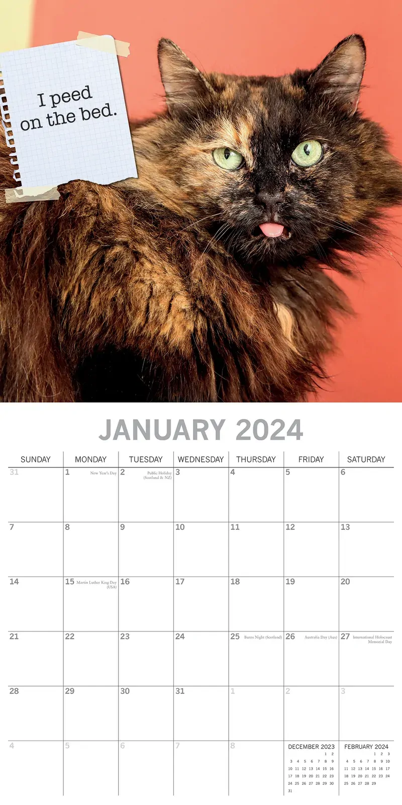 Cat Shaming - 2024 Square Wall Calendar Pets Animals 16 Months Premium Planner Price