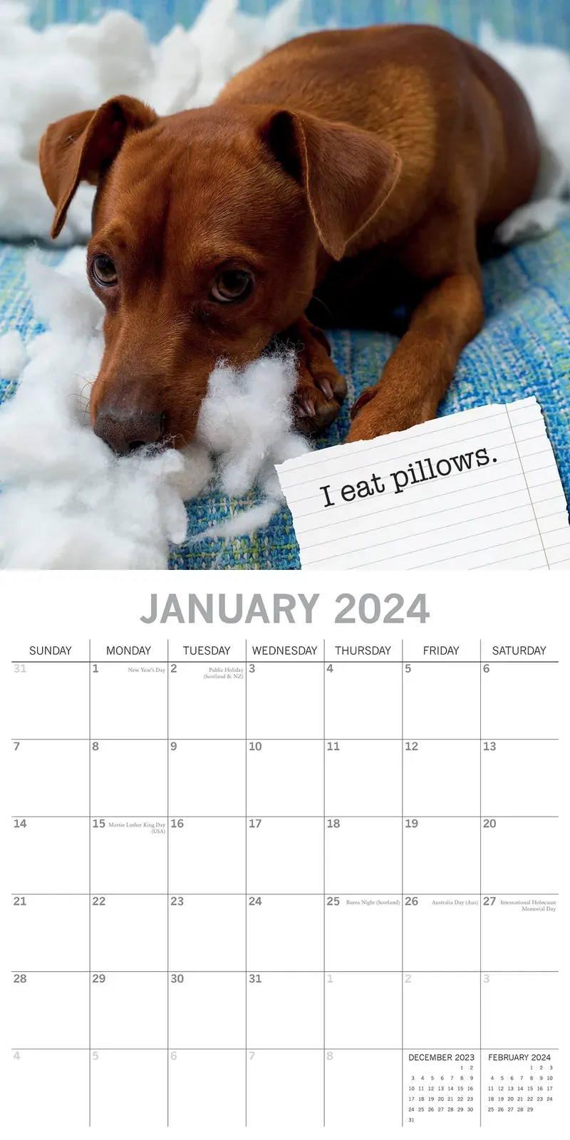 Dog Shaming - 2024 Square Wall Calendar Pets Animals 16 Months Premium Planner Price