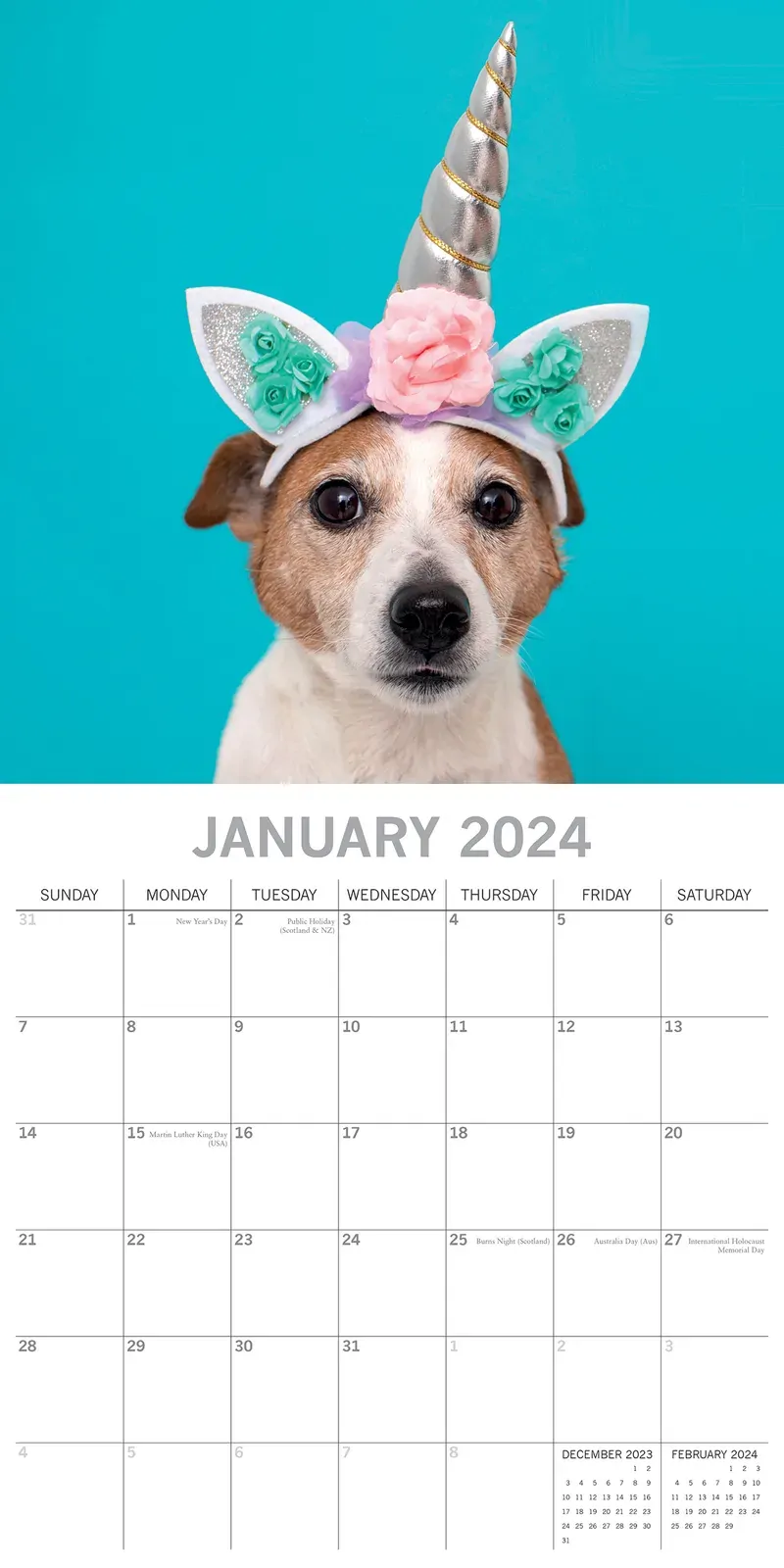 Dogs as Animals 2024 Square Wall Calendar Pets Animals 16 Months Premium Planner Price
