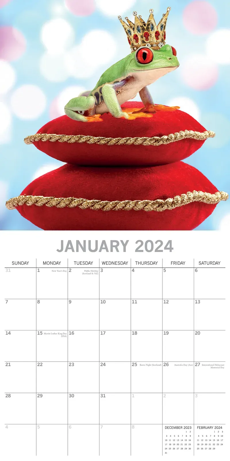 Fabulous Frogs - 2024 Square Wall Calendar Pets Animals 16 Month Premium Planner Price