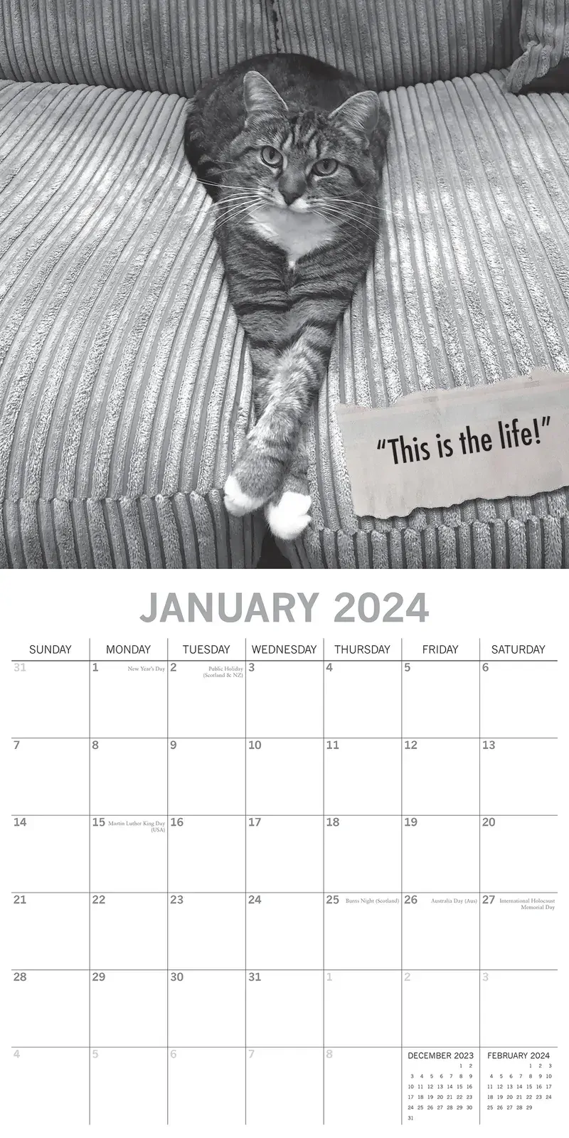 Moggies - 2024 Square Wall Calendar Pets Animals 16 Months Premium Planner Gift Price