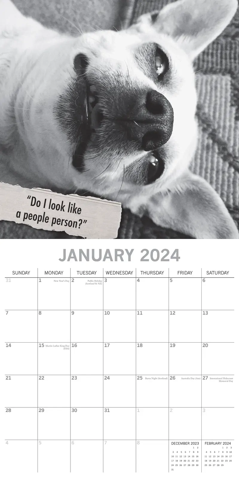 Mutts - 2024 Square Wall Calendar Pets Animals 16 Month Premium Planner New Year Price