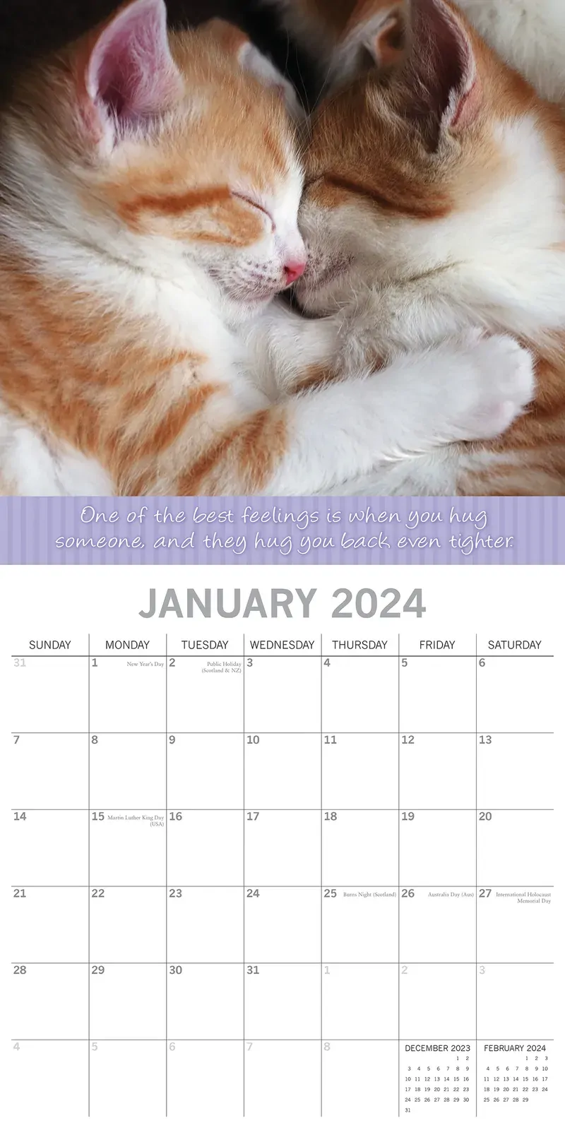 Hugs - 2024 Square Wall Calendar Pets Animals 16 Months Premium Planner New Year Price