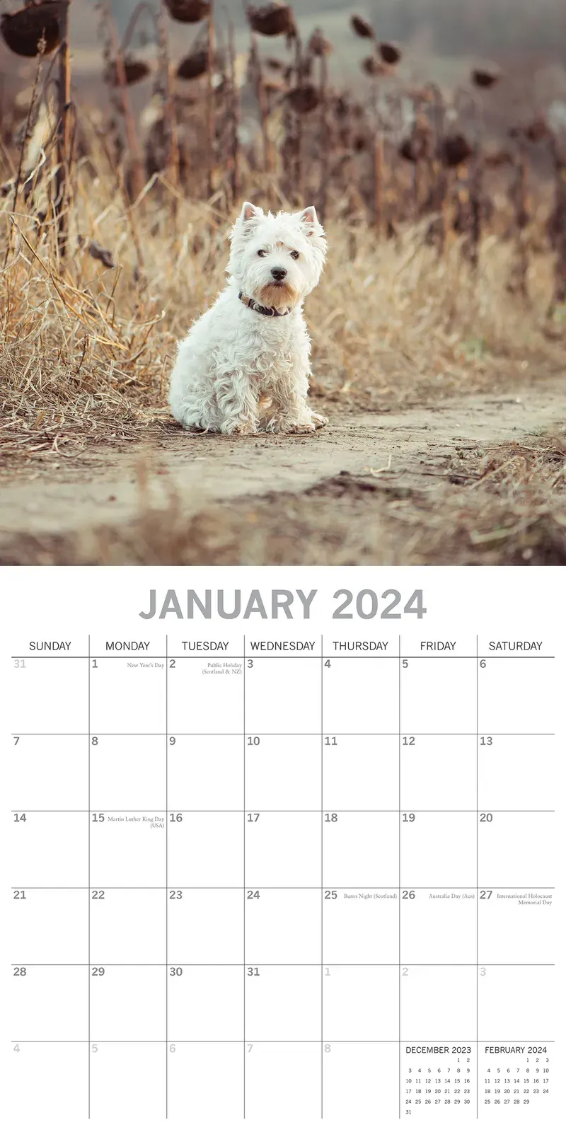 West Highland White Terriers 2024 Square Wall Calendar Pets Dog 16 Month Planner Price