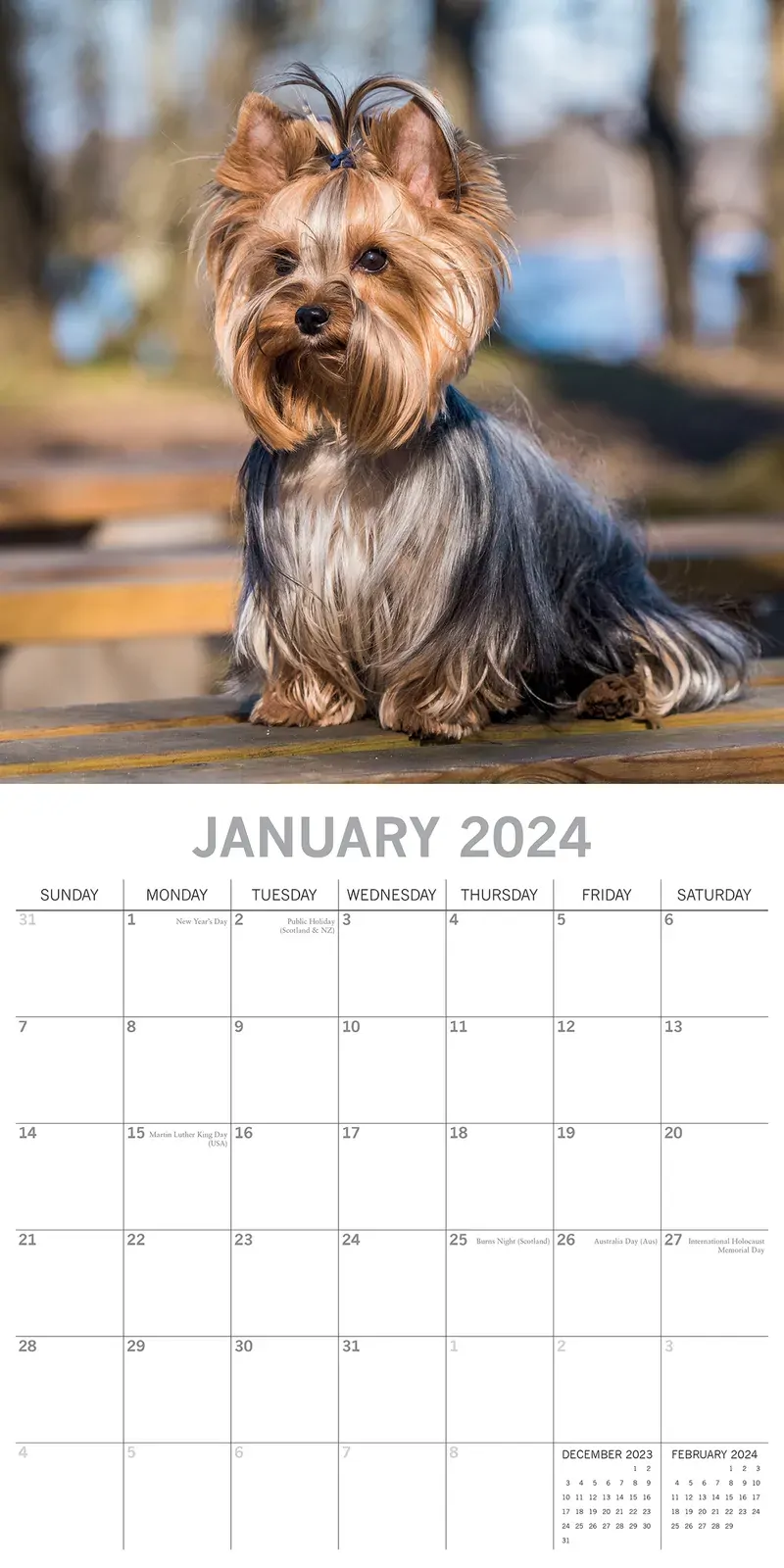 Yorkshire Terriers - 2024 Square Wall Calendar Pets Dog 16 Month Premium Planner Price