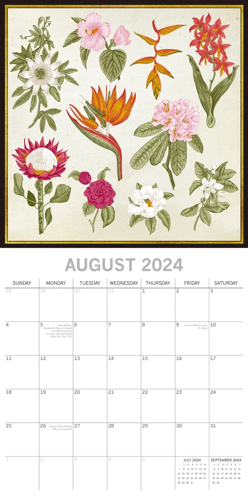 Botanicals - 2024 Square Wall Calendar 16 Months Arts Planner Xmas New Year Gift Price