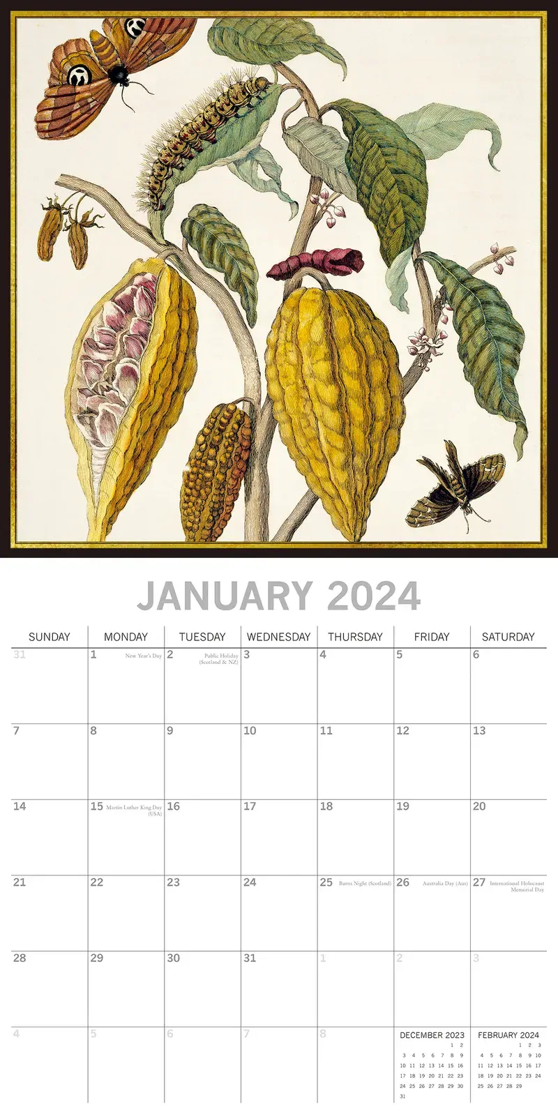 Insects 2024 Square Wall Calendar 16 Months Arts Planner Christmas New Year Gift Price