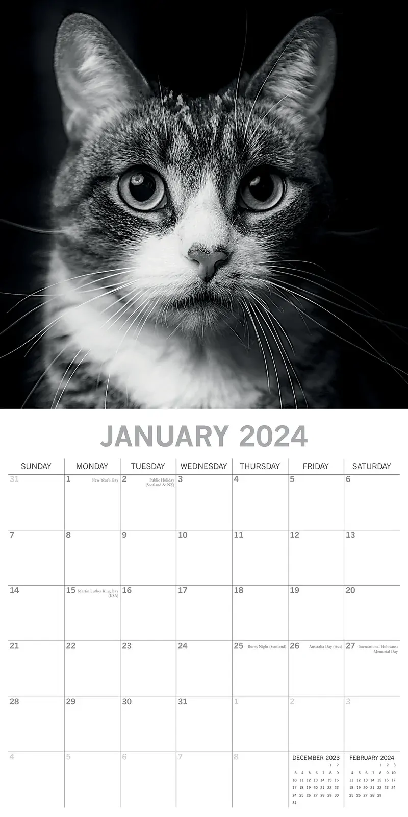 Cat Portraits - 2024 Square Wall Calendar 16 Months Black & White Planner Gift Price