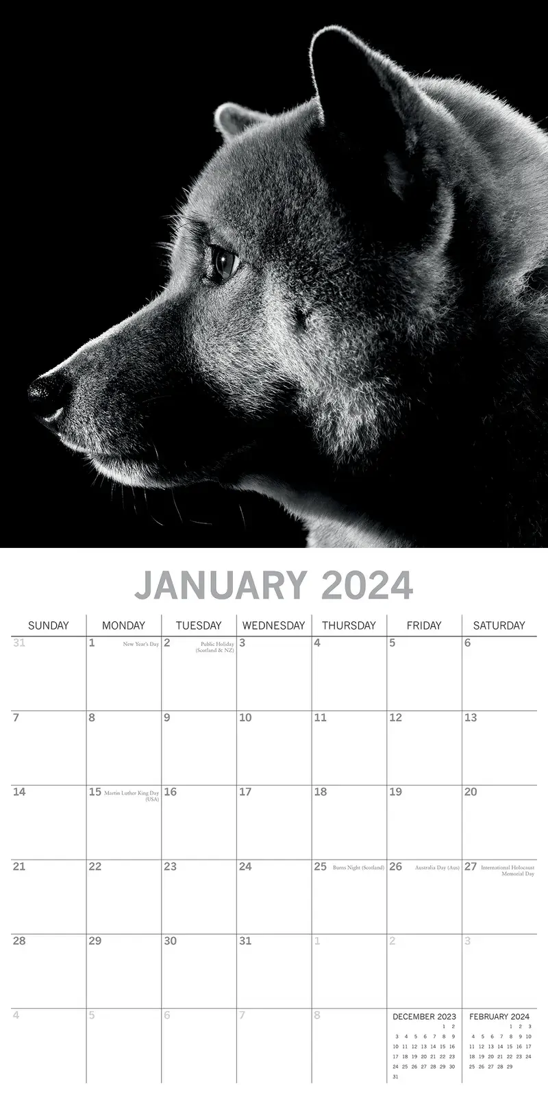 Dog Portraits - 2024 Square Wall Calendar 16 Months Black & White Planner Gift Price