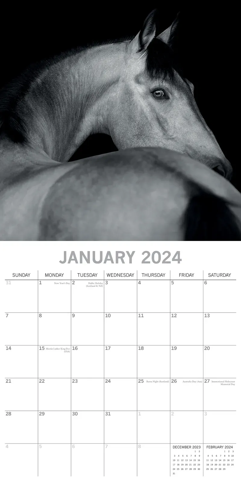Horse Portraits - 2024 Square Wall Calendar 16 Months Black & White Planner Gift Price