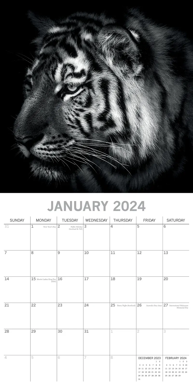 Wild Portraits - 2024 Square Wall Calendar 16 Months Black & White Planner Gift Price