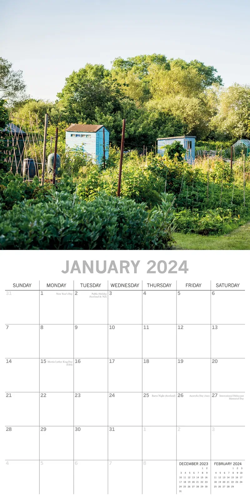 Allotment Gardening - 2024 Square Wall Calendar 16 Months Floral Planner Gift Price