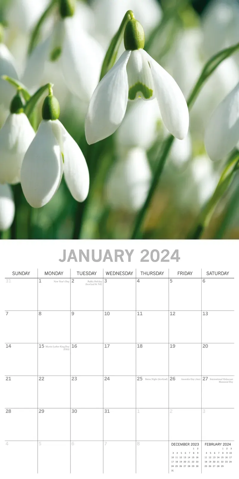 Beauty of Flowers 2024 Square Wall Calendar 16Month Floral Planner New Year Gift Price