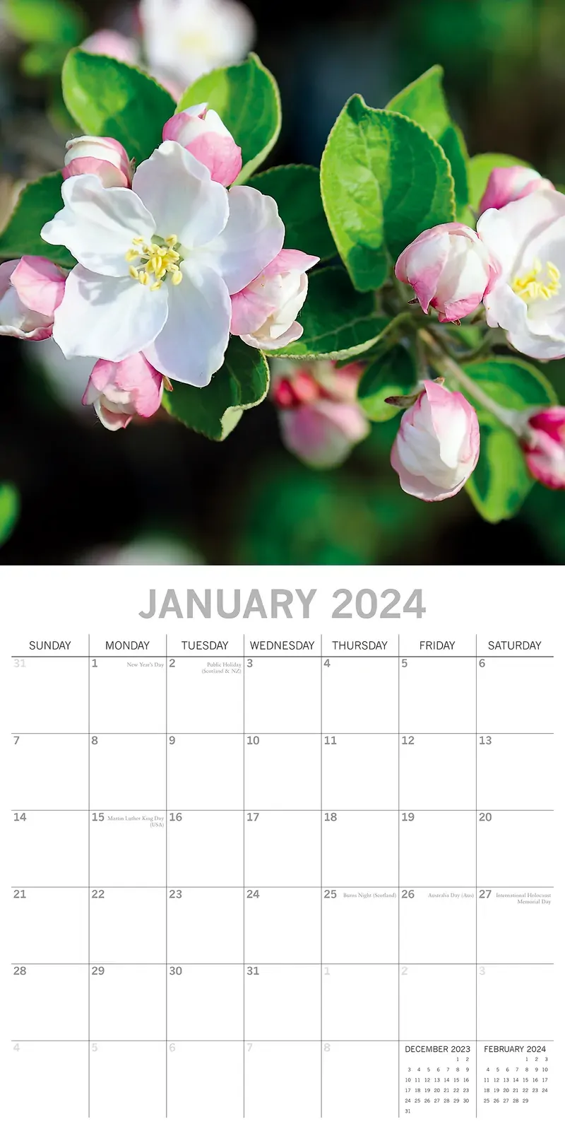 Blossoms 2024 Square Wall Calendar 16 Months Floral Flower Planner New Year Gift Price