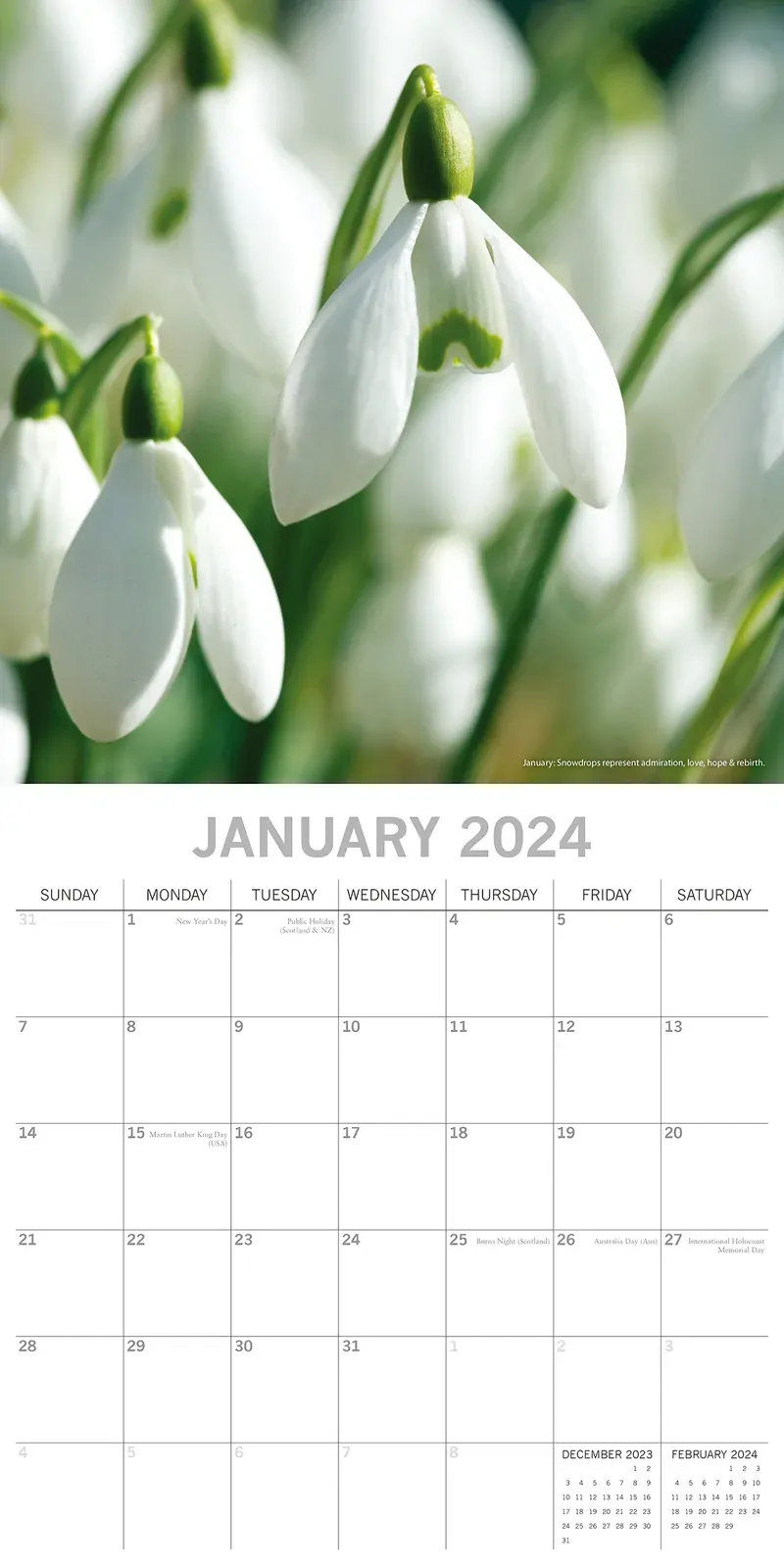 Flower of the Month - 2024 Square Wall Calendar 16 Months Floral Planner Gift Price