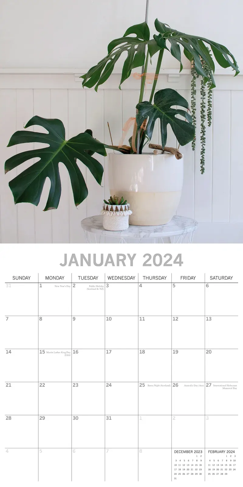 House Plants - 2024 Square Wall Calendar 16 Months Floral Flower Planner New Year Gift Price