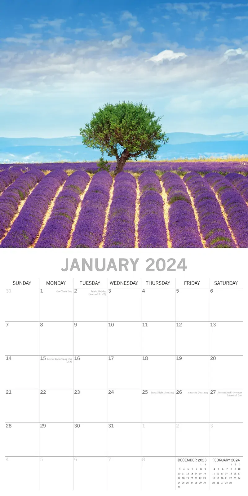 Lavender 2024 Square Wall Calendar 16 Months Floral Flower Planner New Year Gift Price