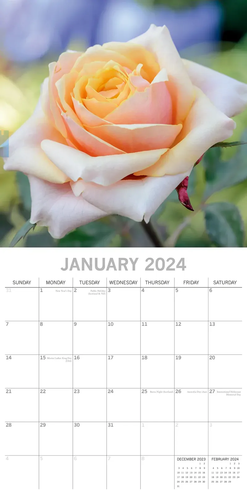 Roses 2024 Square Wall Calendar 16 Months Floral Planner Christmas New Year Gift Price