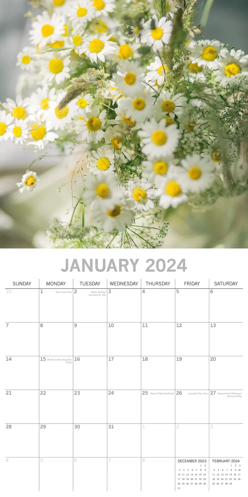 Wild Flowers - 2024 Square Wall Calendar 16 Months Floral Planner Christmas Gift Price
