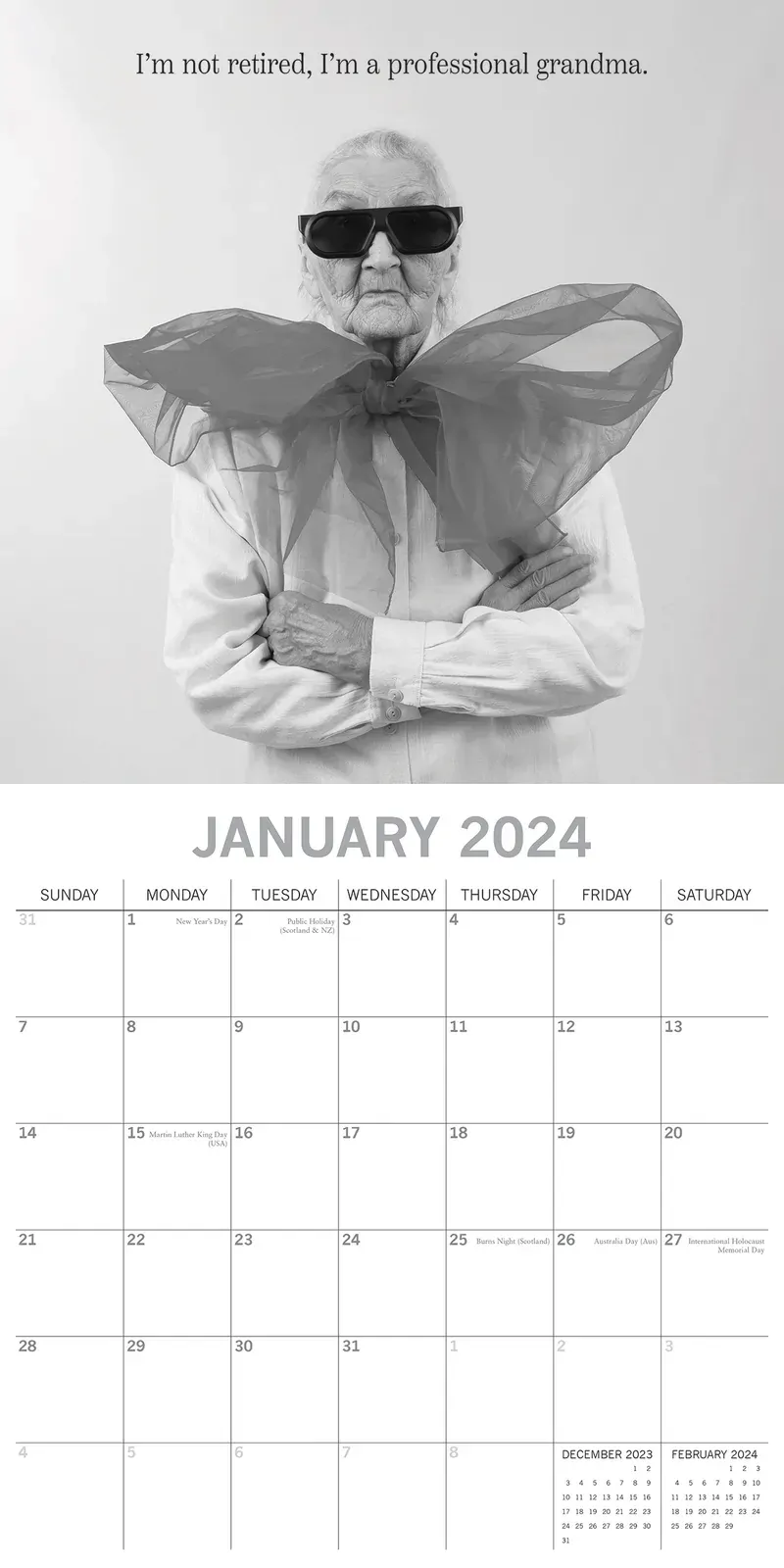 Wrinkly Wit - 2024 Square Wall Calendar 16 Months Funny Planner New Year Gift Price