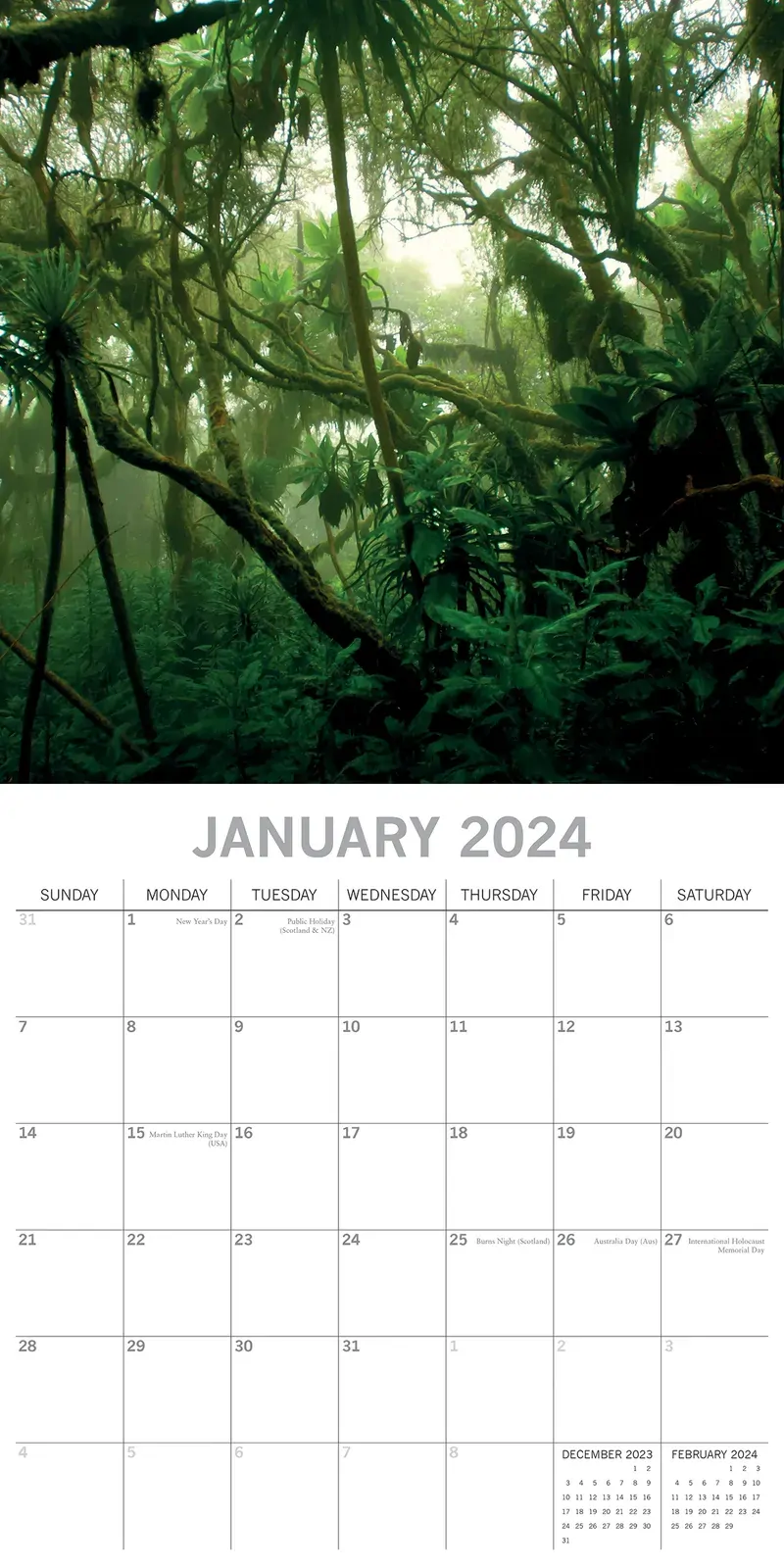 Jungles - 2024 Square Wall Calendar 16 Months Premium Planner Xmas New Year Gift Price