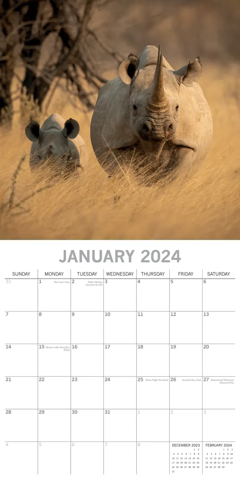 Safari 2024 Square Wall Calendar 16Month Premium Planner Christmas New Year Gift Price