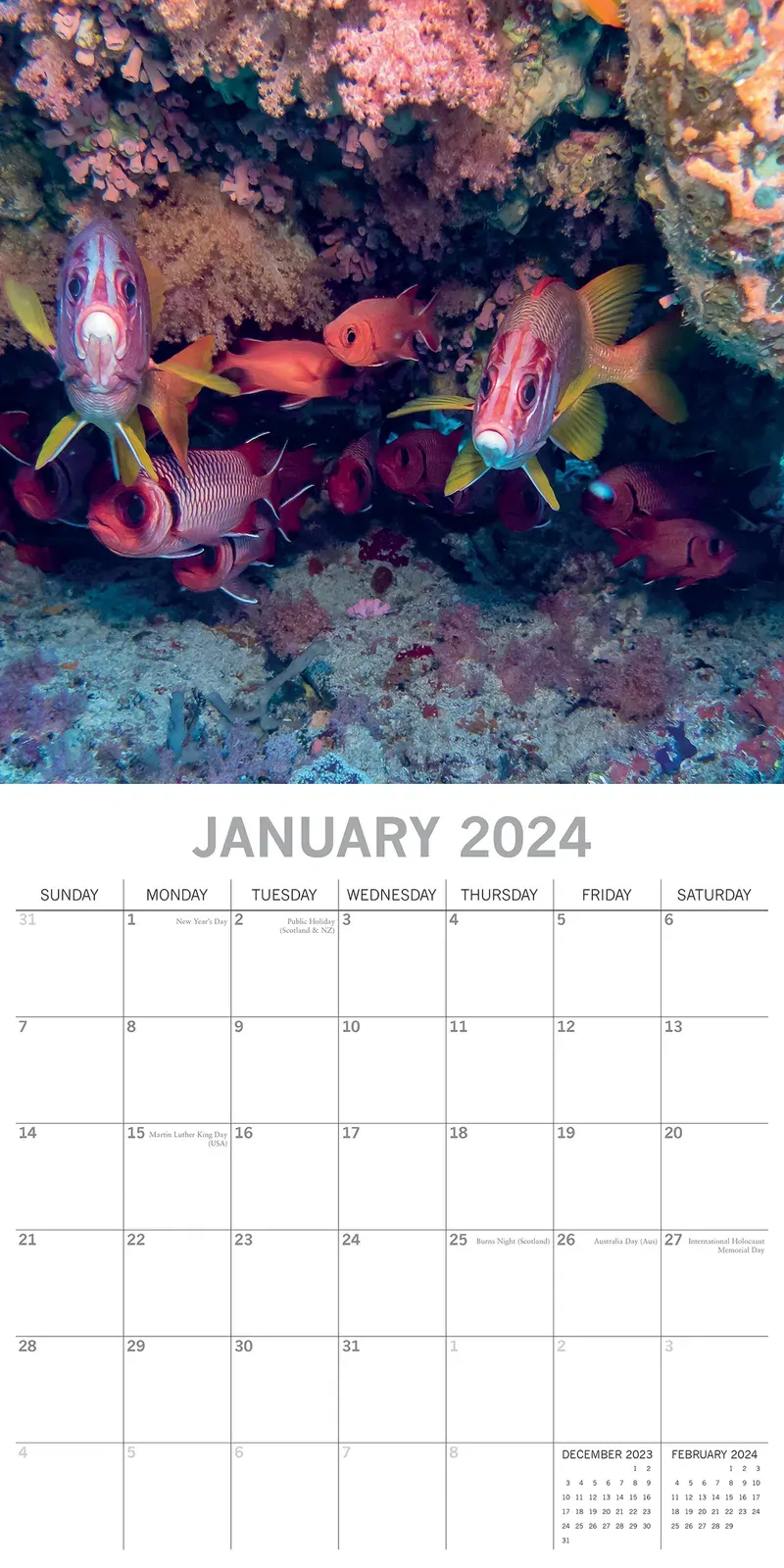 Under the Sea 2024 Square Wall Calendar 16 Month Planner Christmas New Year Gift Price