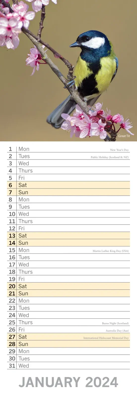 Birds - 2024 Slimline Slim Wall Calendar Hanging Planner New Year Gift Price