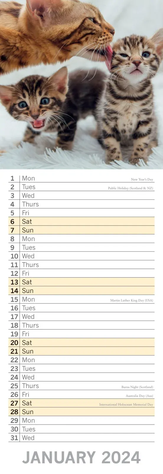 Cats & Kittens - 2024 Slimline Slim Wall Calendar Hanging Planner New Year Gift Price