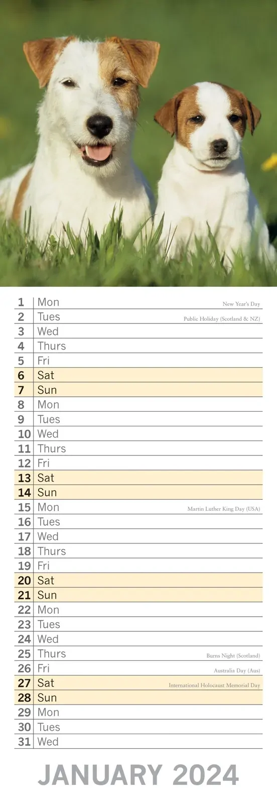 Dogs & Puppies - 2024 Slimline Slim Wall Calendar Hanging Planner New Year Gift Price