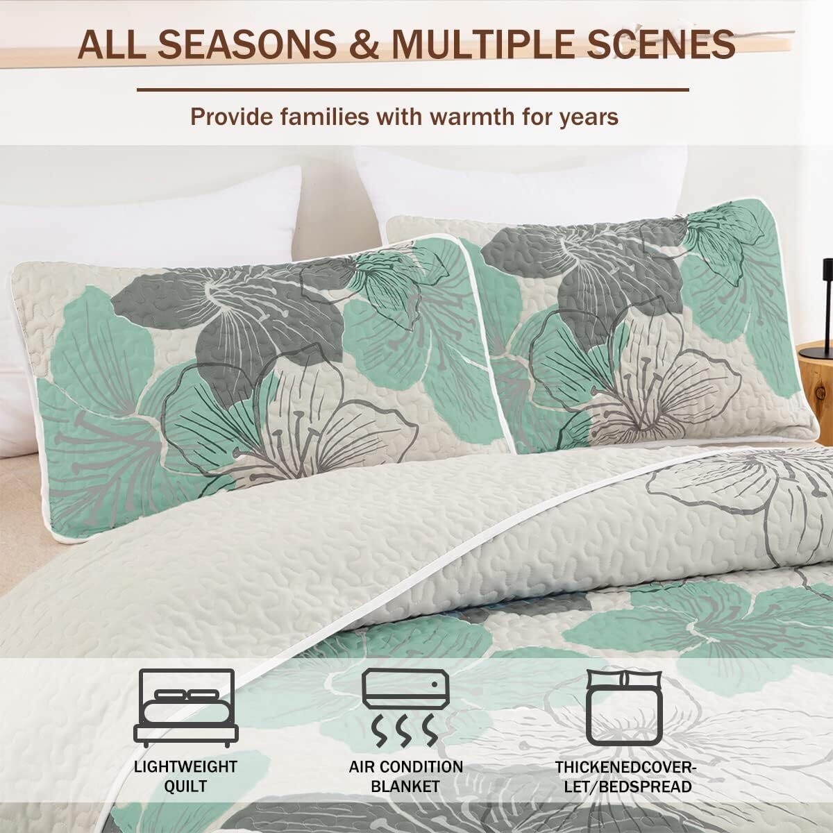 Radiant Quilted Coverlet and Pillowcases Set: Envelop Your Bed in Elegance - Queen size Price