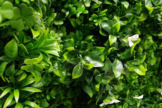 White Oasis Vertical Garden / Green Wall UV Resistant 1m x 1m Price